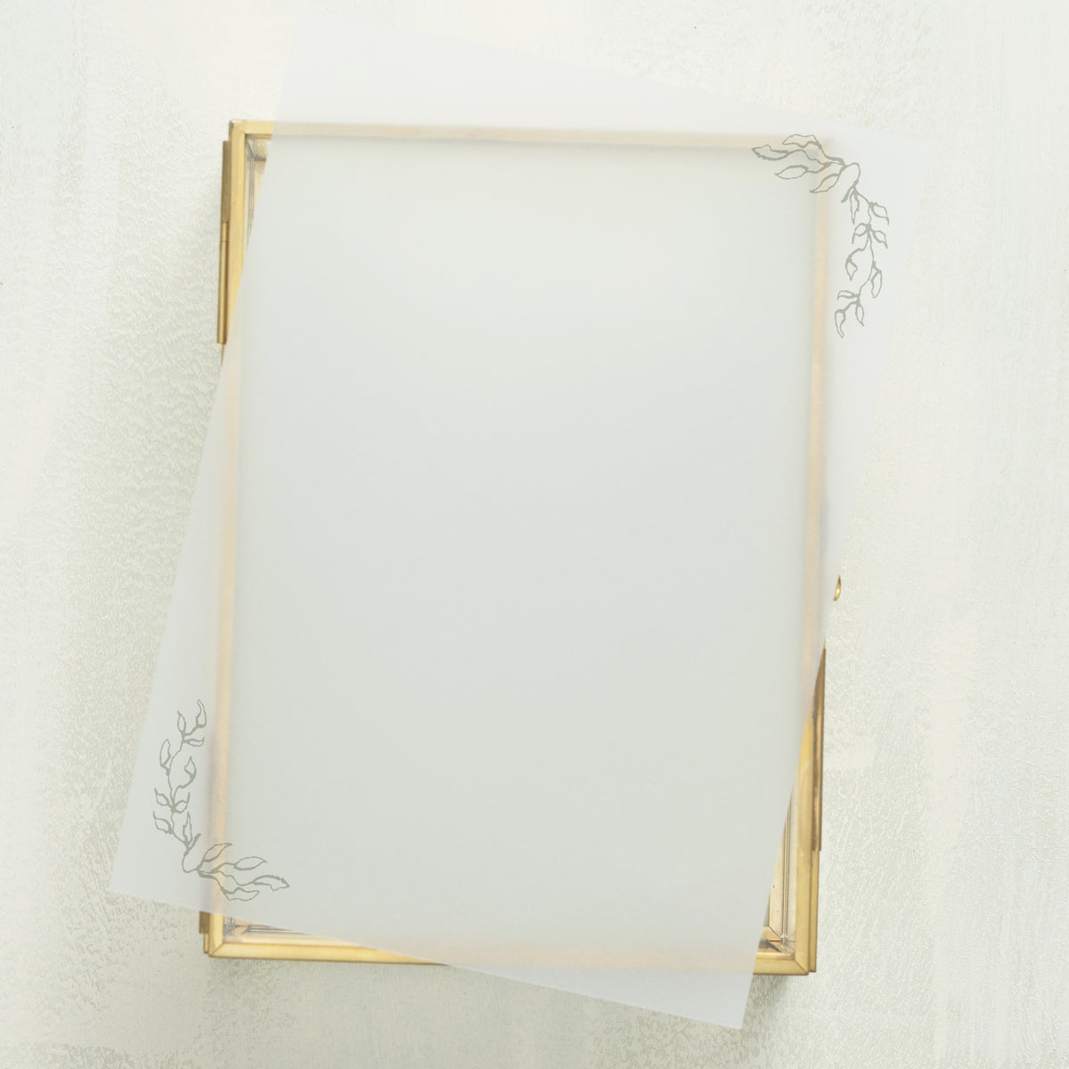 Promenade Vellum Overlay (10-pack)