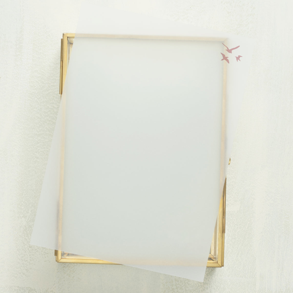 Whisked Away Vellum Overlay (10-pack)