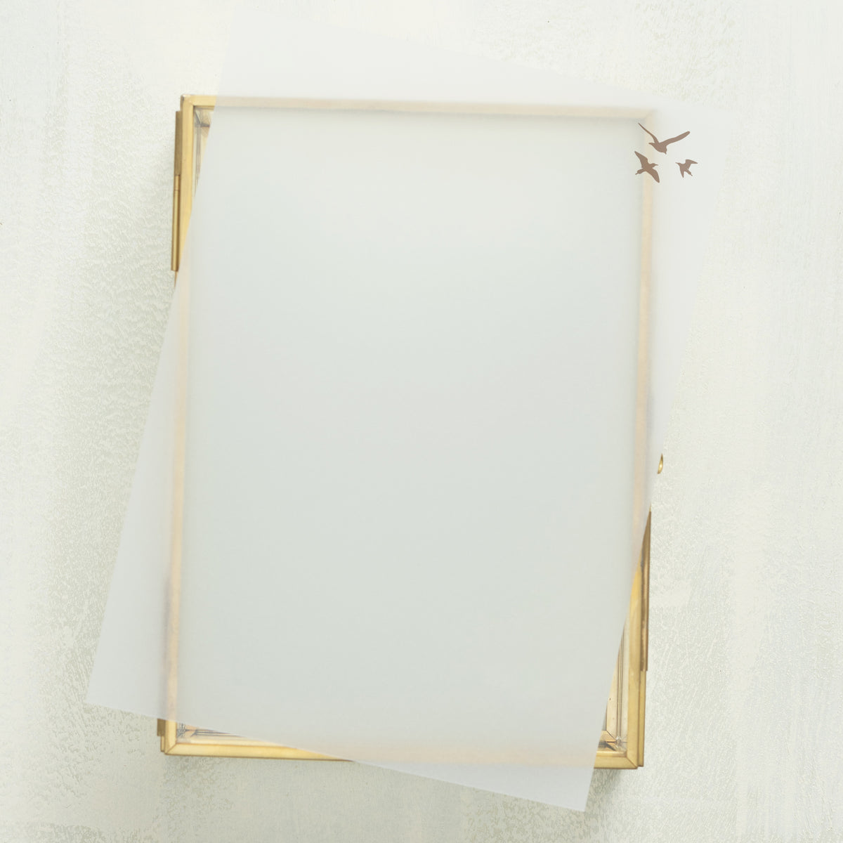 Whisked Away Vellum Overlay (10-pack)