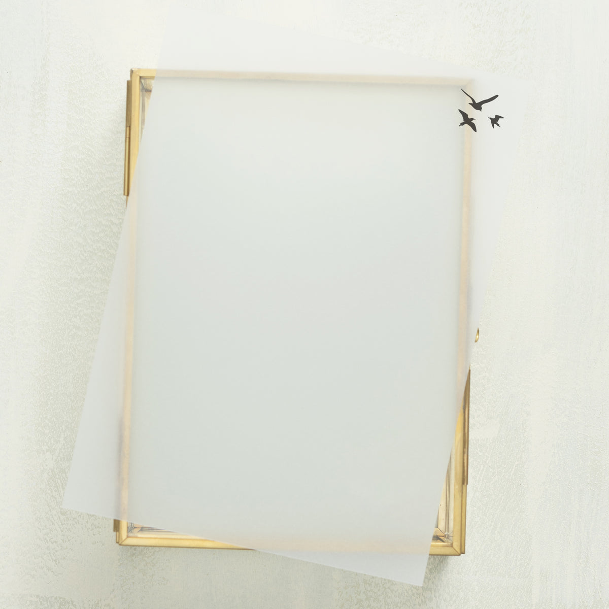 Whisked Away Vellum Overlay (10-pack)