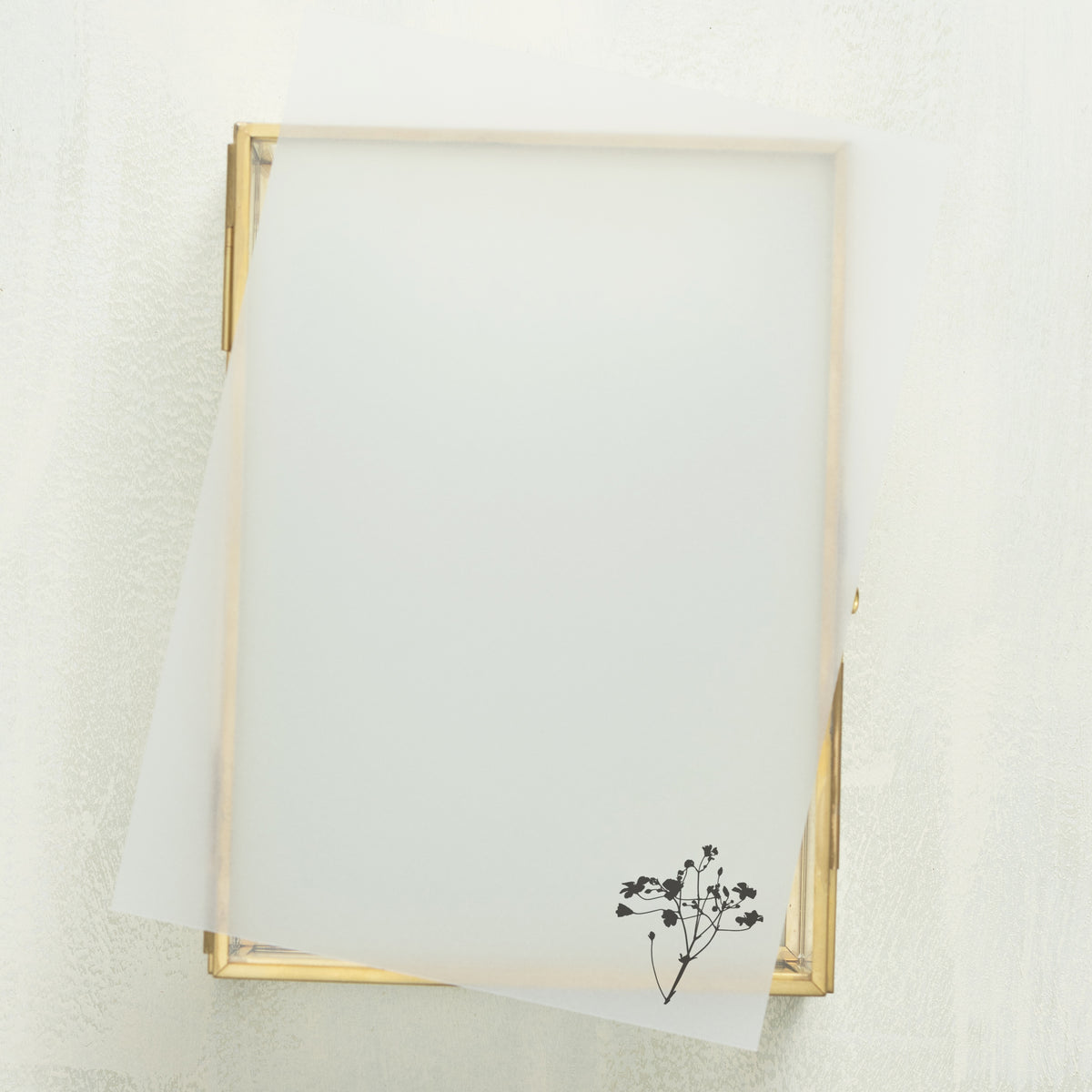 Intention Vellum Overlay (10-pack)