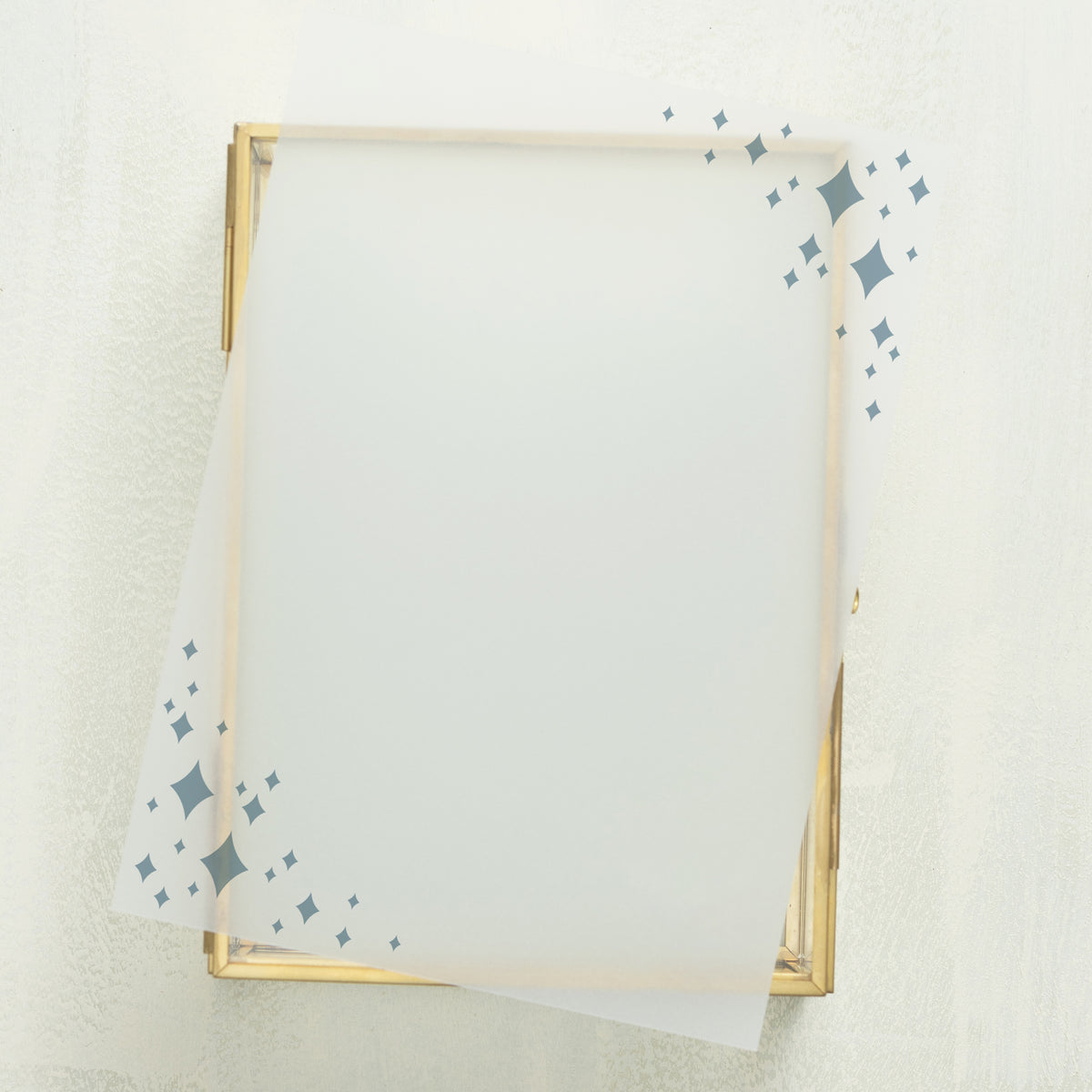 Wedlibs Vellum Overlay (10-pack)