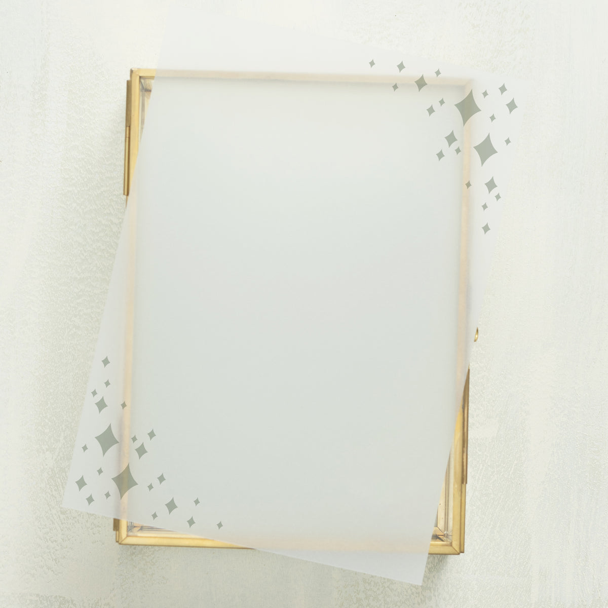 Wedlibs Vellum Overlay (10-pack)