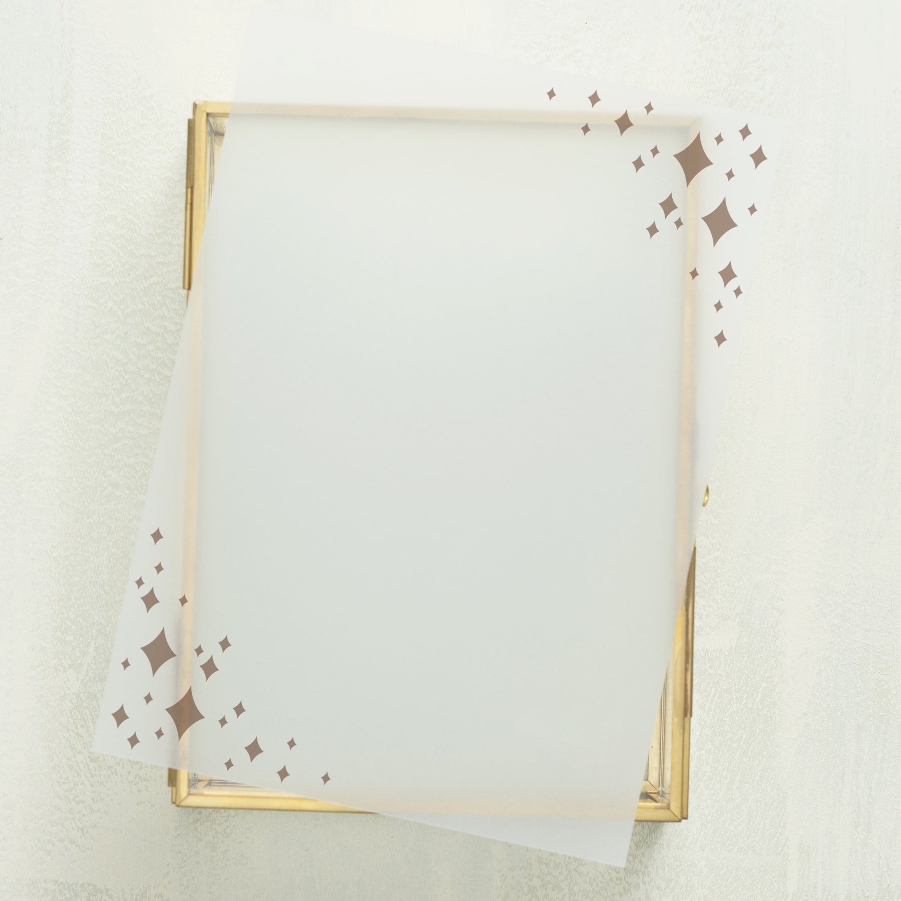 Wedlibs Vellum Overlay (10-pack)
