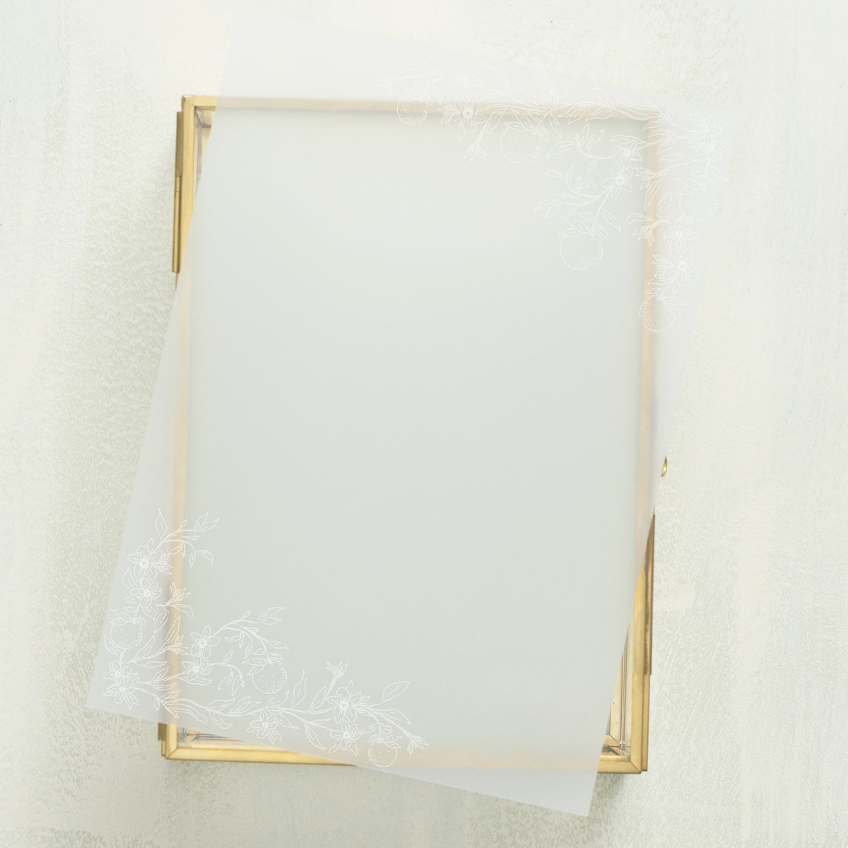 Blossom Vellum Overlay (10-pack)