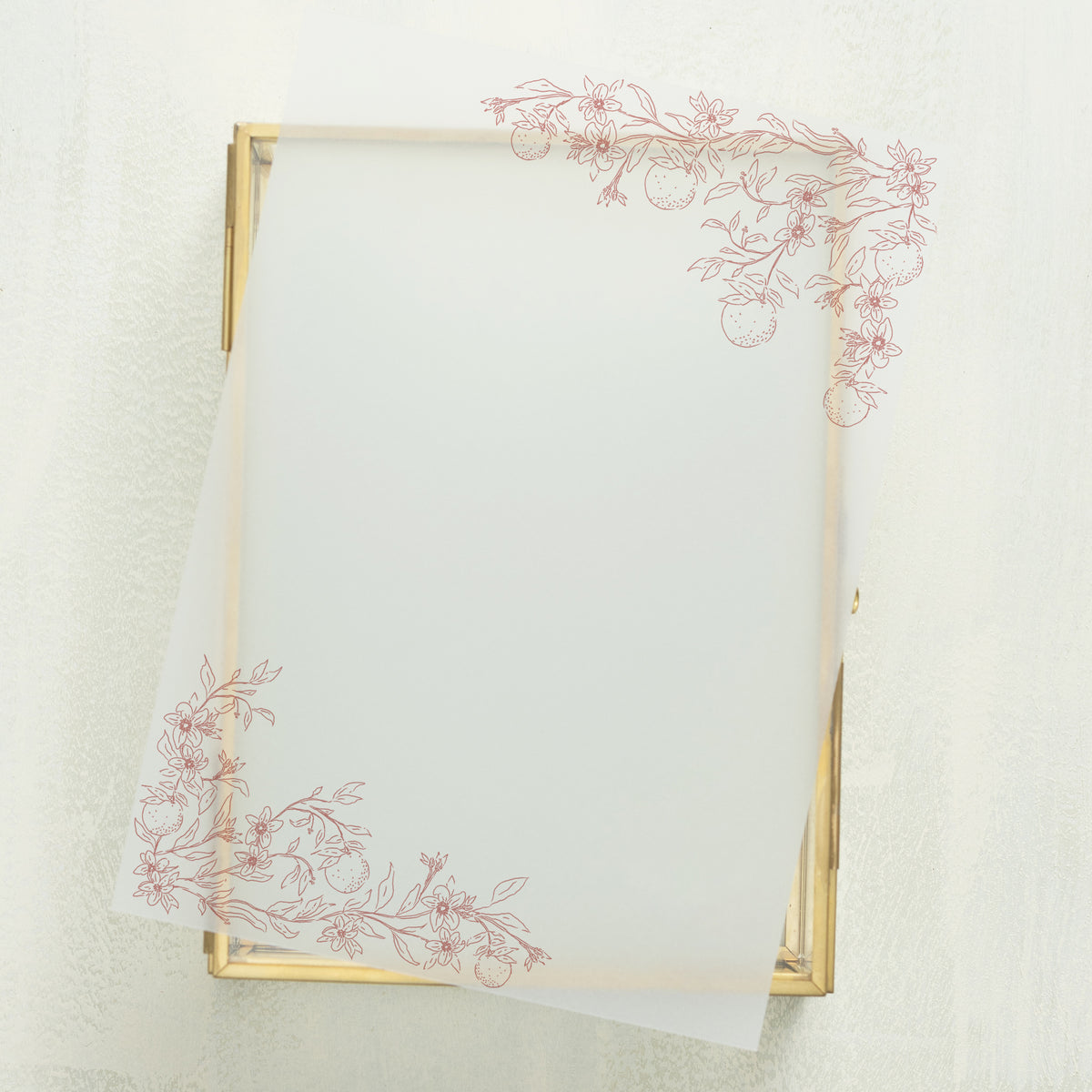 Blossom Vellum Overlay (10-pack)