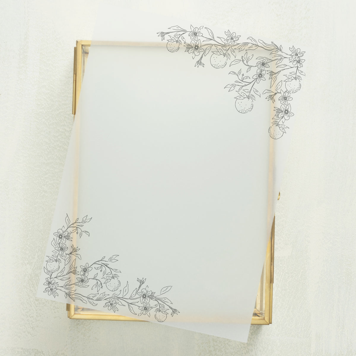 Blossom Vellum Overlay (10-pack)