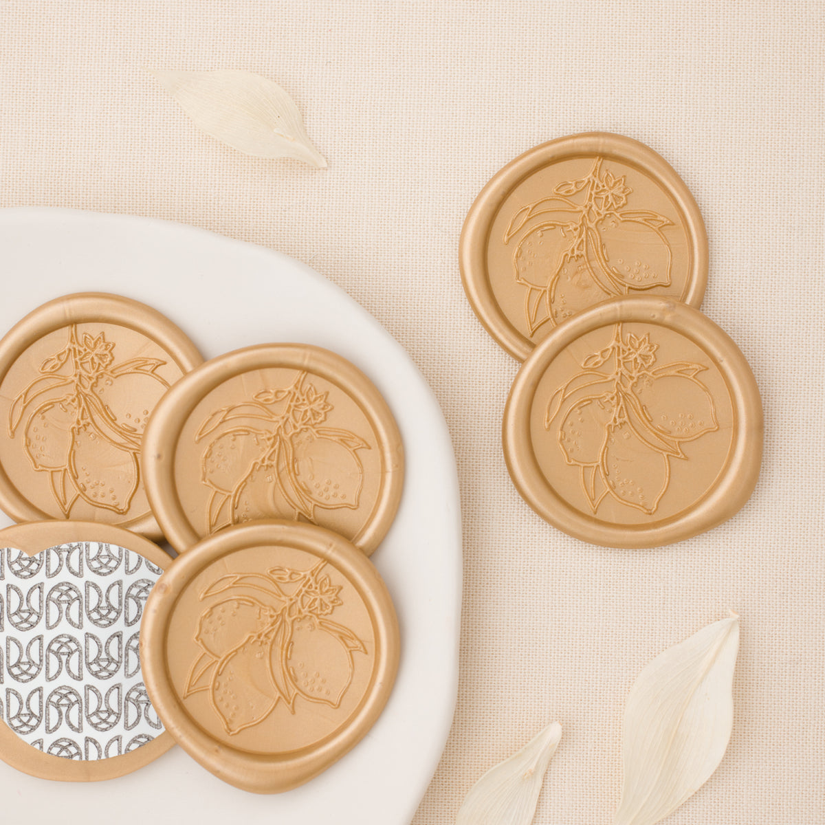 Main Squeeze Wax Seals