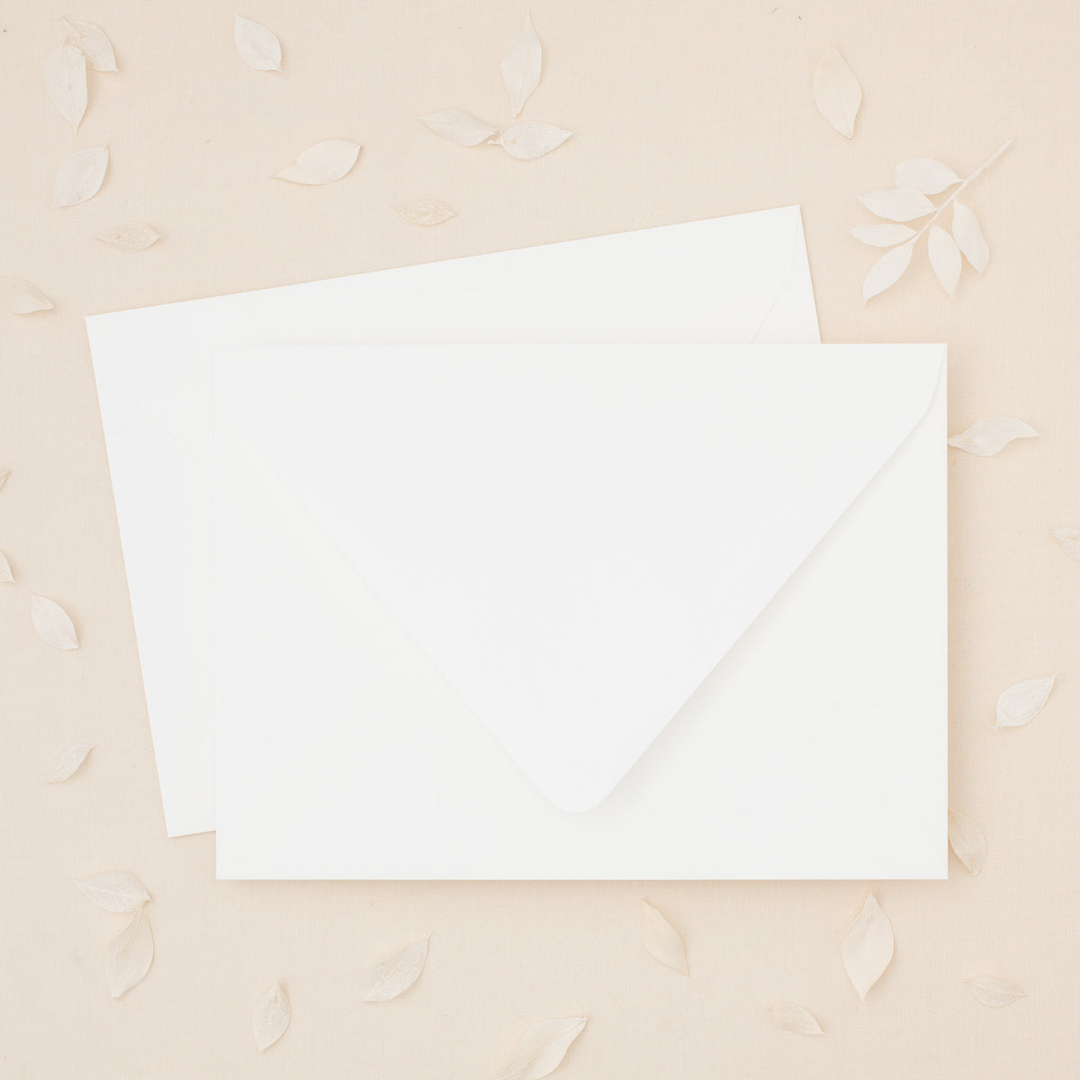 White A7.5 Outer Envelopes (10 Pack)