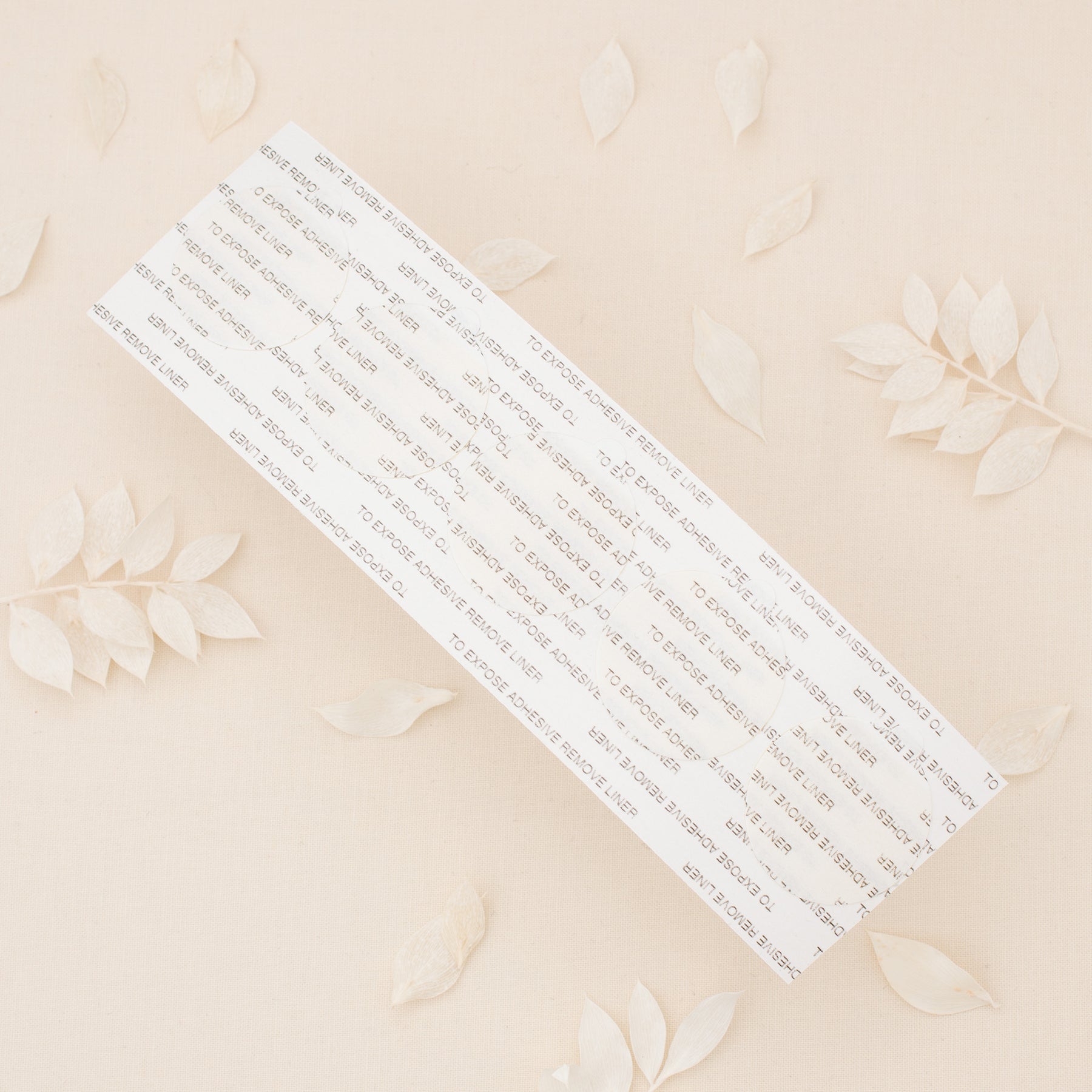 Professional Grade Adhesive Backings - 50 Pack