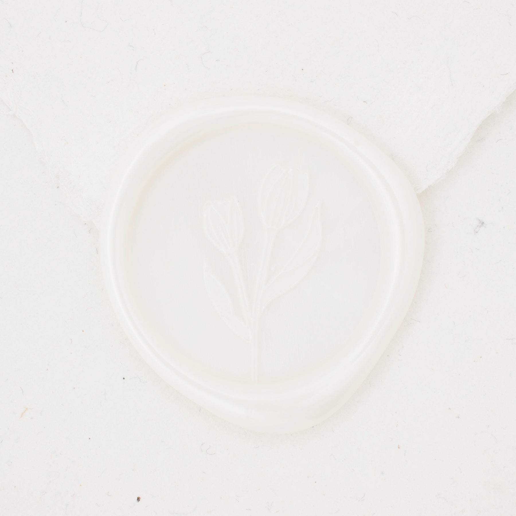 Tayla Wax Seals