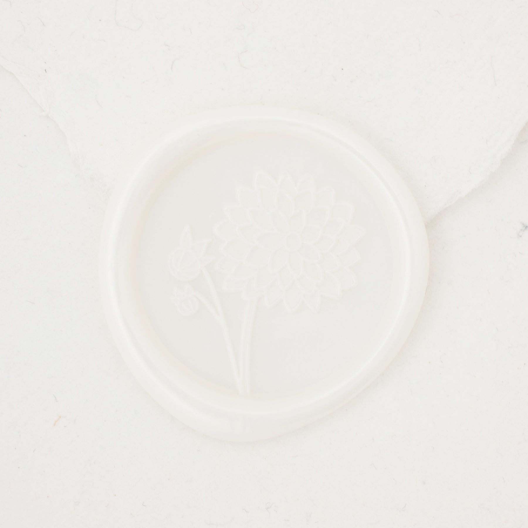 Riley Wax Seals