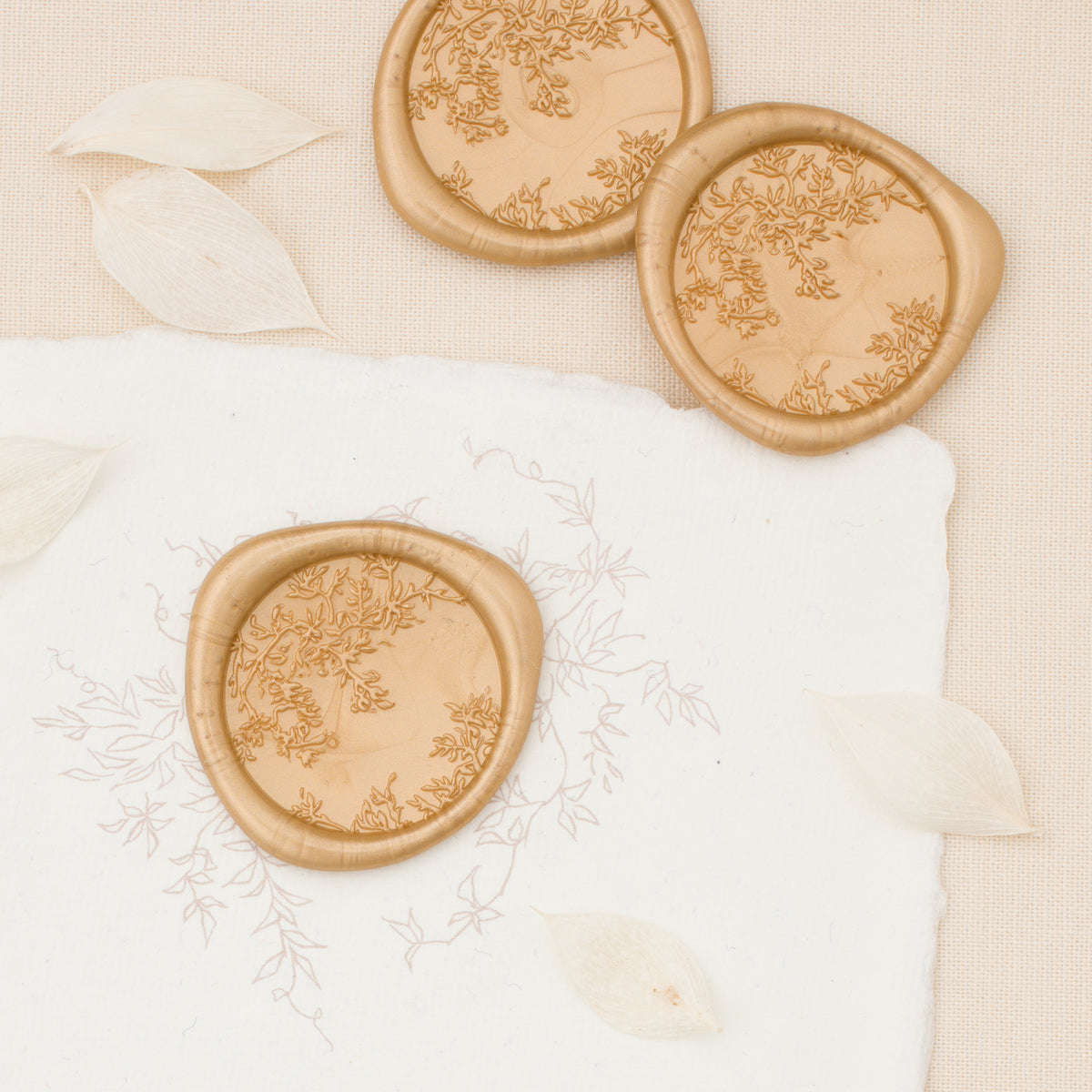Liana Wax Seals