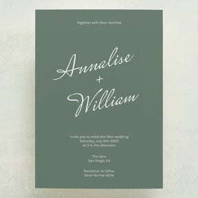 Whisked Away Wedding Invitations (Sample)