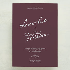 (Sample) Whisked Away Wedding Invitations