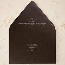 Addressed Envelopes