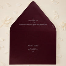 Addressed Envelopes