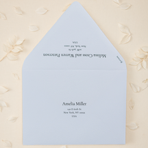 Addressed Envelopes