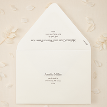Addressed Envelopes