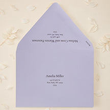 Addressed Envelopes