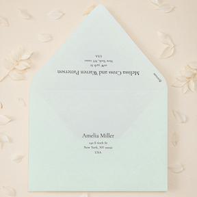 Addressed Envelopes