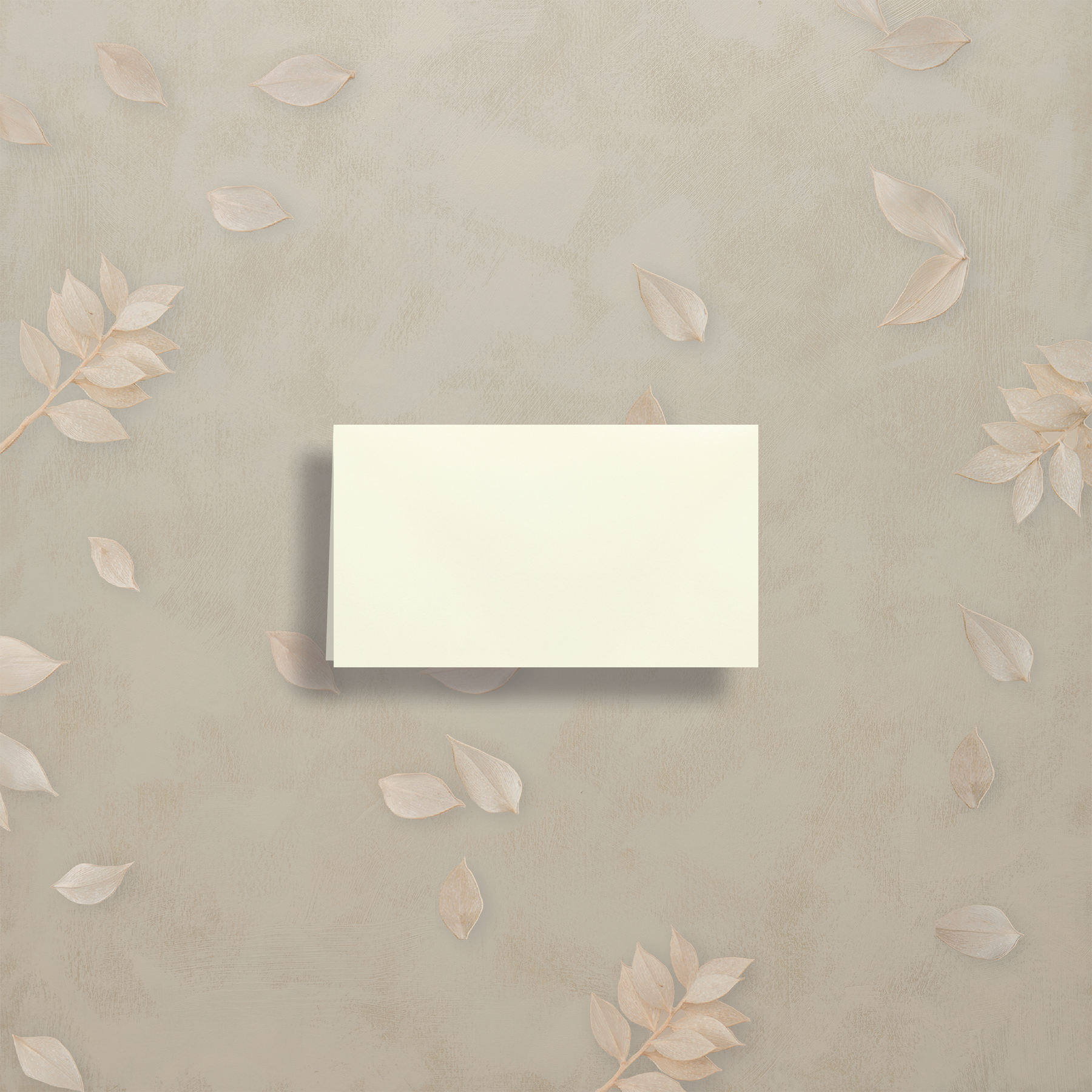 Editorial Eclectic Place Card