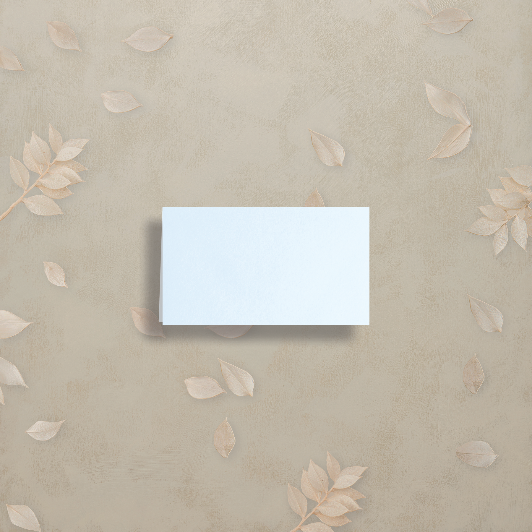 Monochrome Muse Place Card
