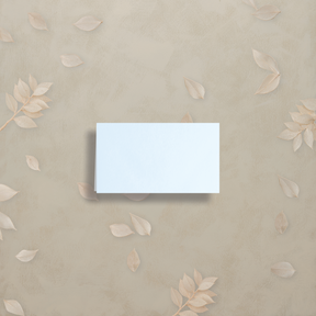 Monochrome Muse Place Card