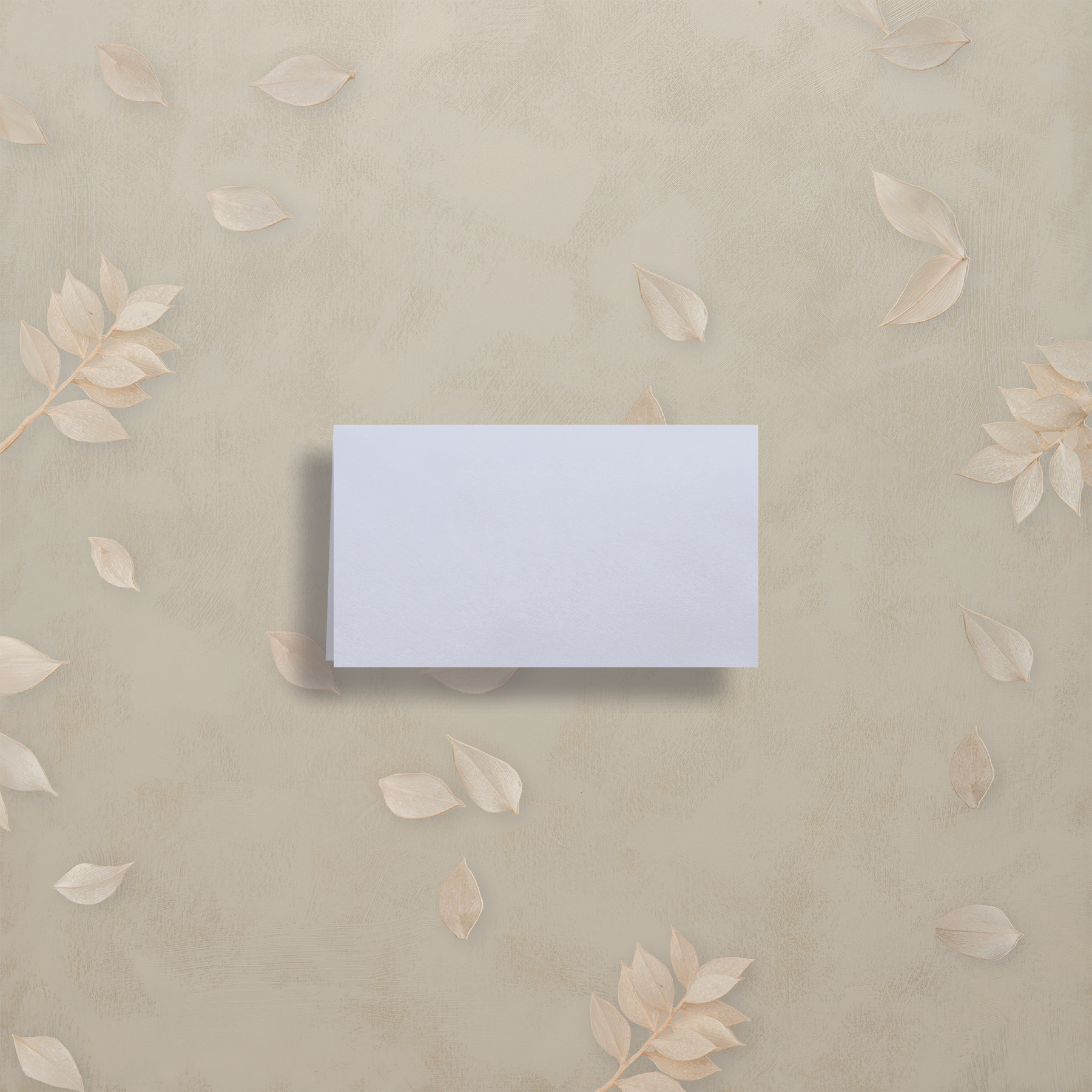 Monochrome Muse Place Card