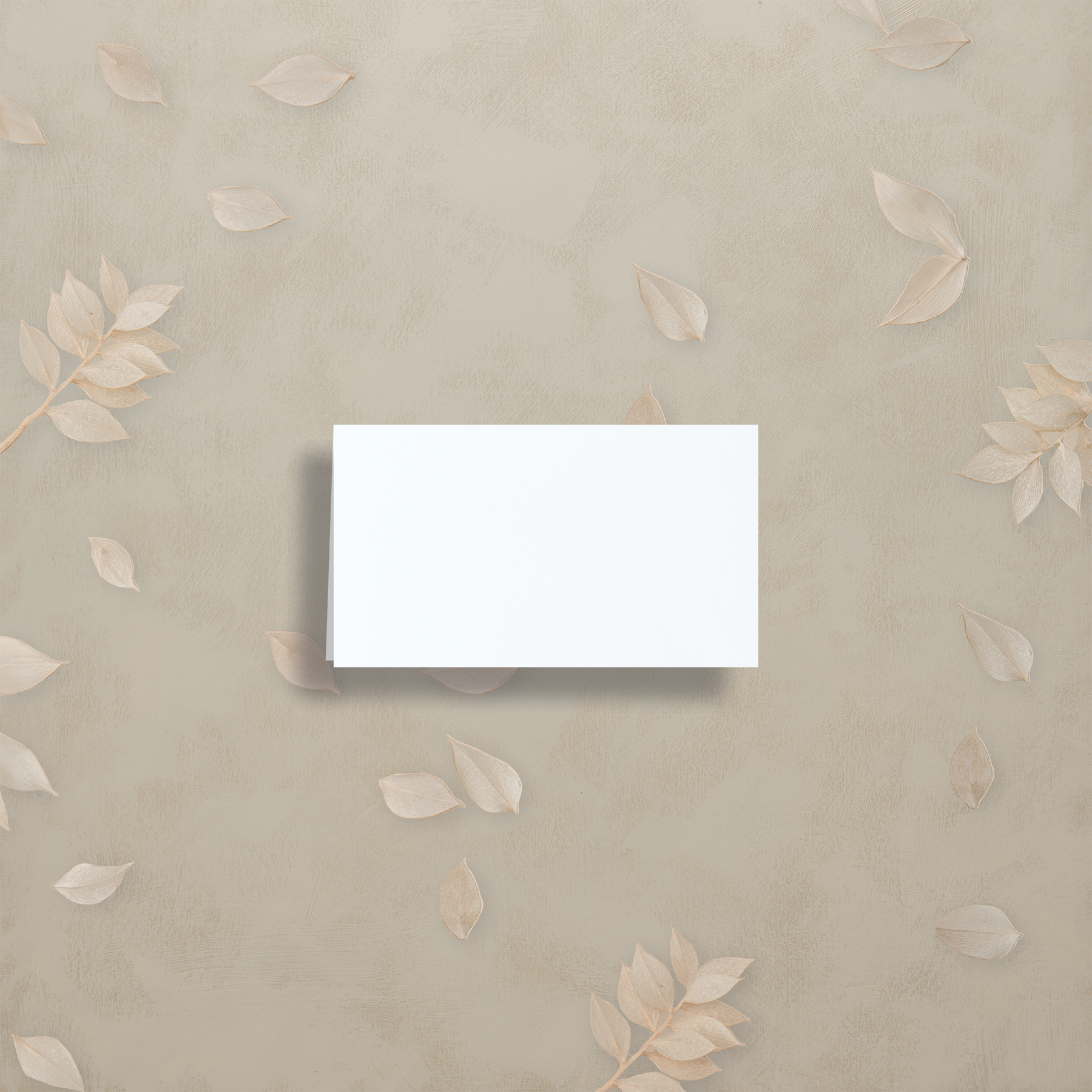 Monochrome Muse Place Card