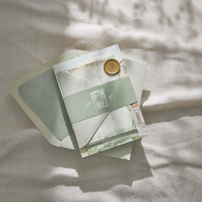 Dolce Vita Belly Band