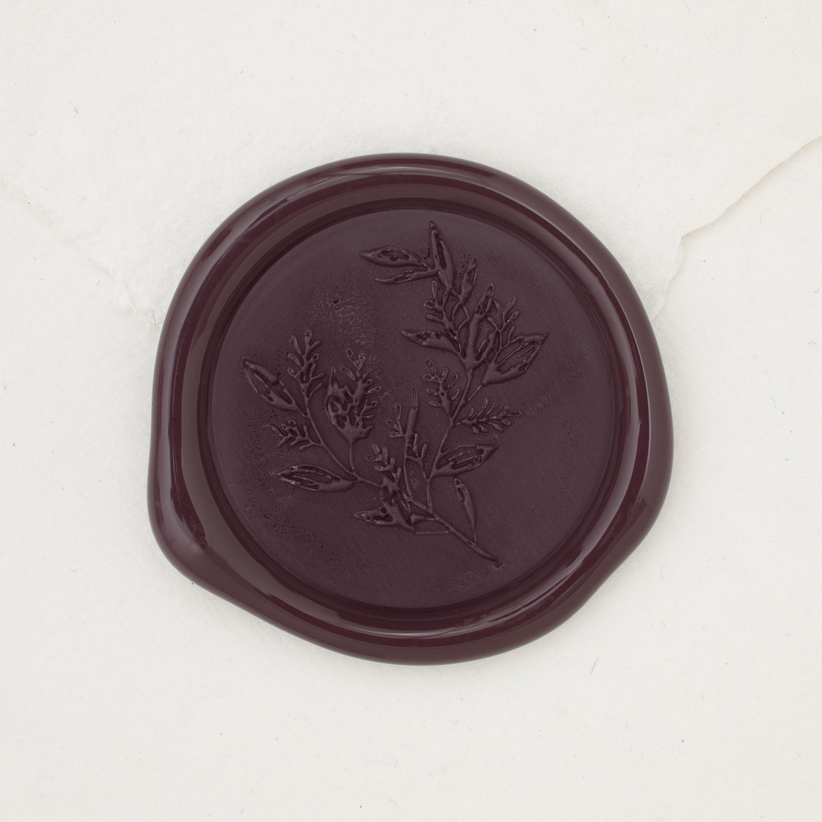 Eucalyptus Wax Seals