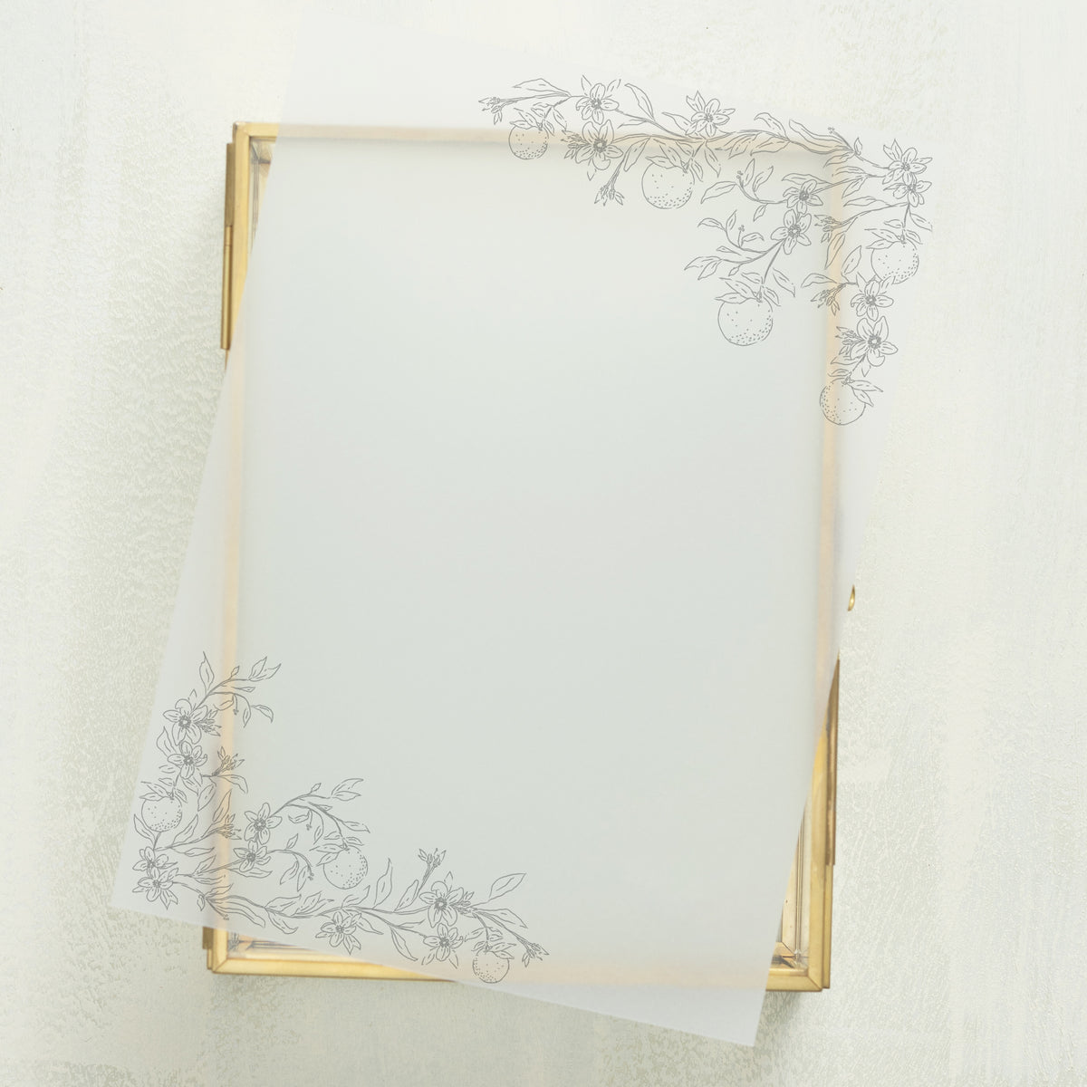 Blossom Vellum Overlay (10-pack)