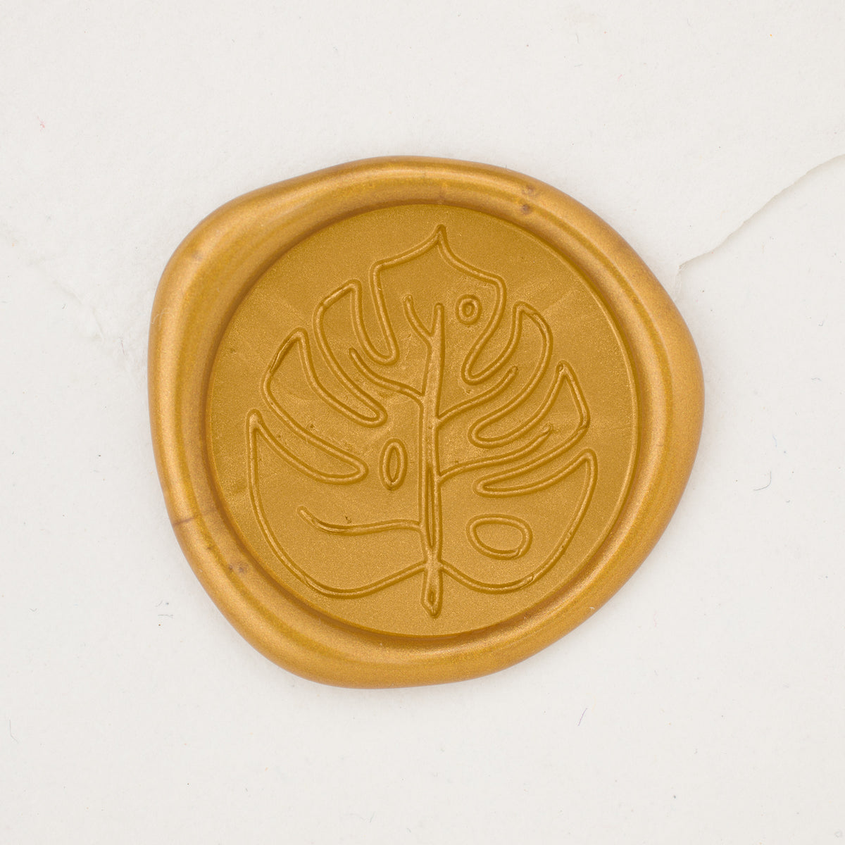 Monstera Love Wax Seals